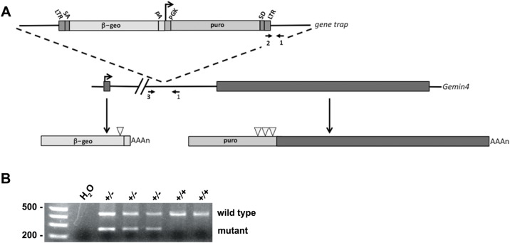 Fig. 8.