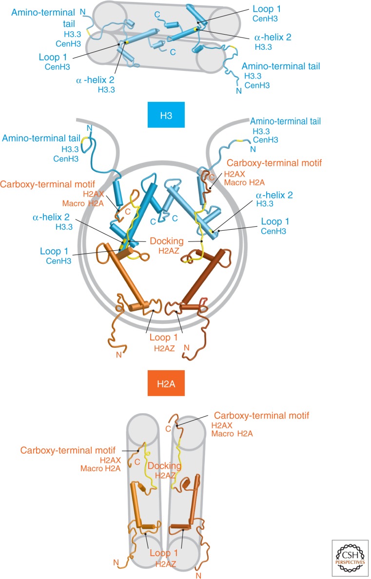 Figure 3.