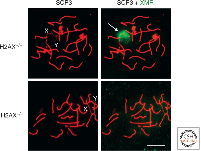 Figure 10.