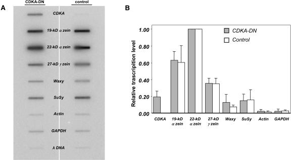 Figure 9.