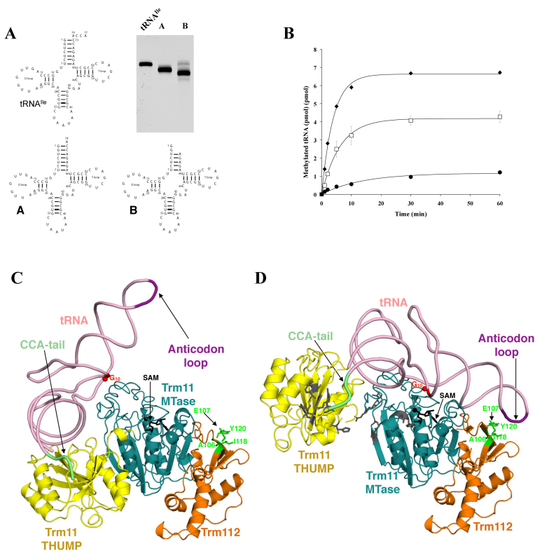 Figure 3.