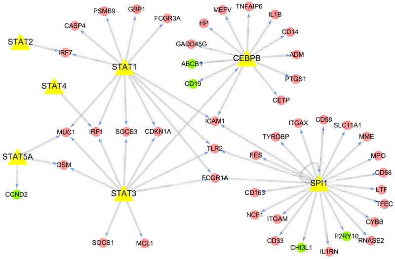 Figure 4