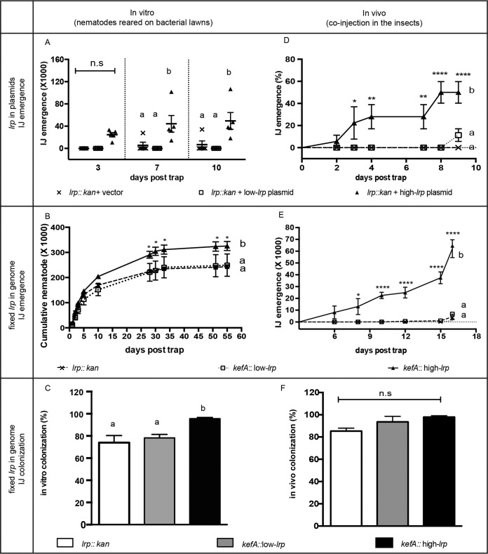 FIG 3