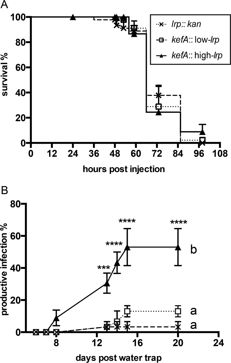 FIG 6