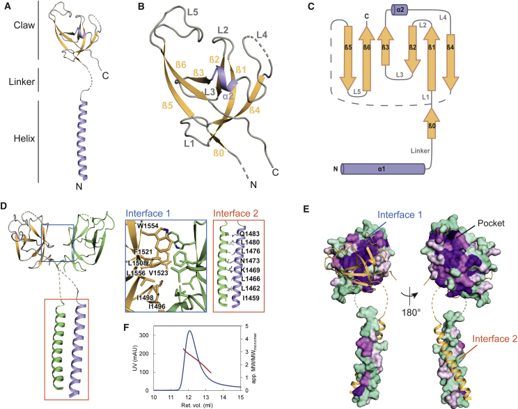 Figure 4