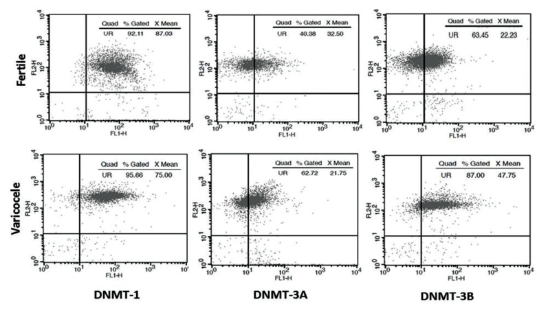 Fig.1