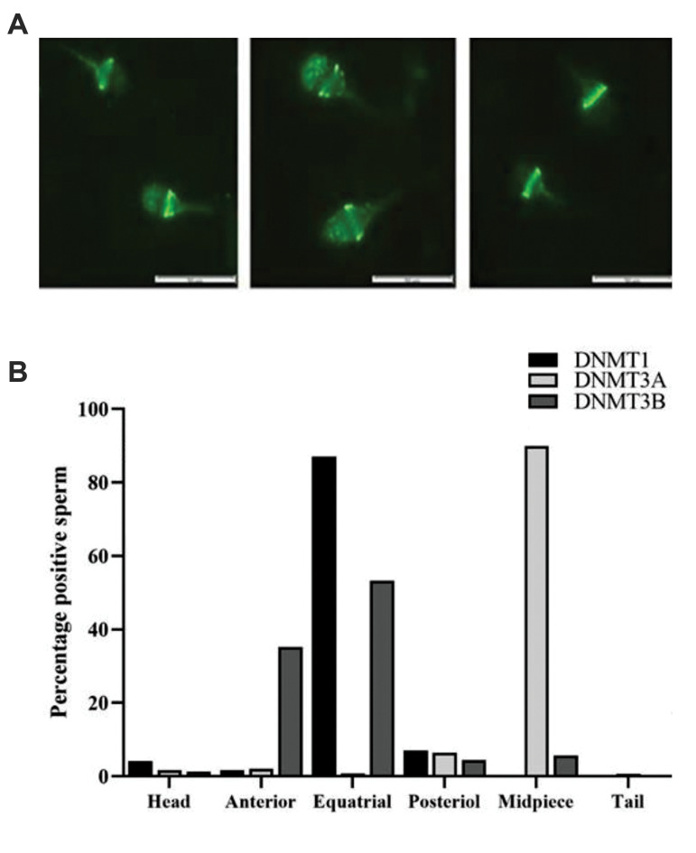 Fig.2