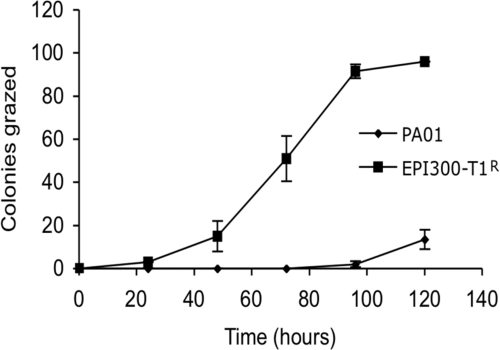 FIG. 1.