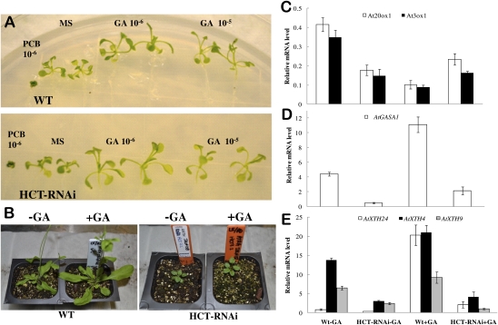 Fig. 4.