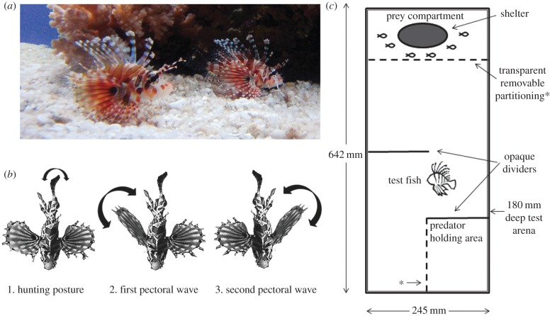 Figure 1.