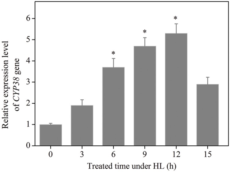 FIGURE 2