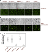 FIG 4