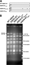 FIG 1