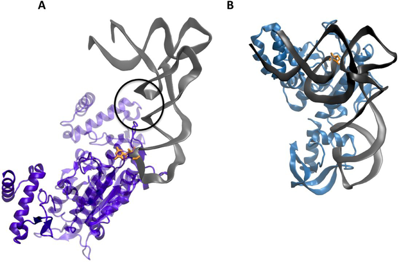 Figure 7: