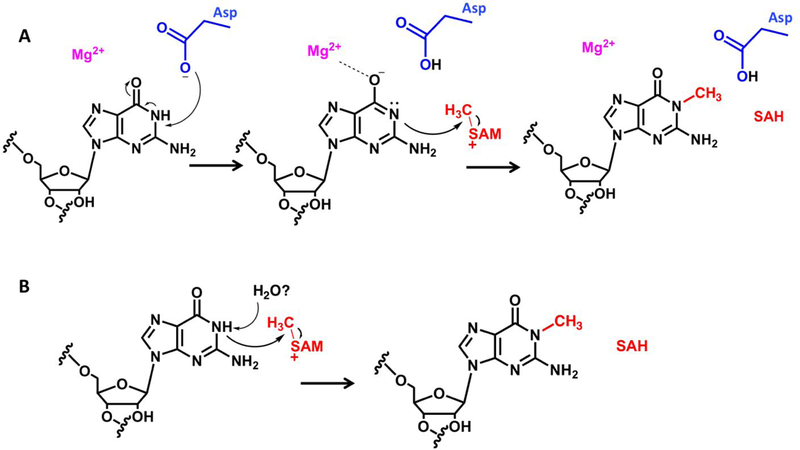 Figure 5: