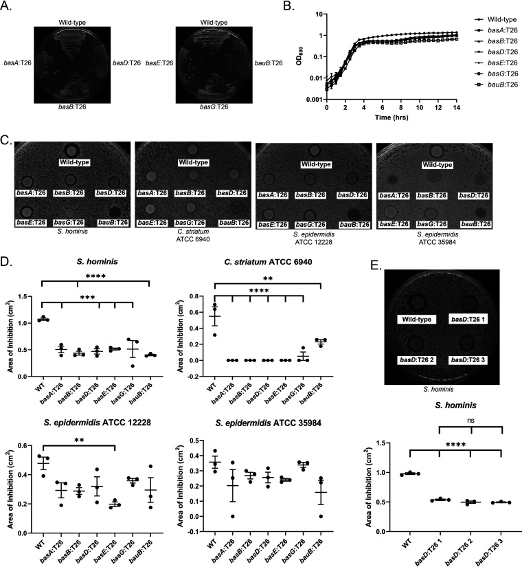 FIG 2