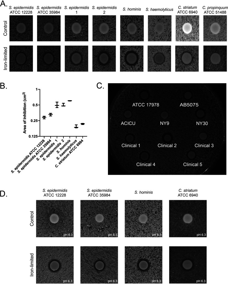 FIG 1