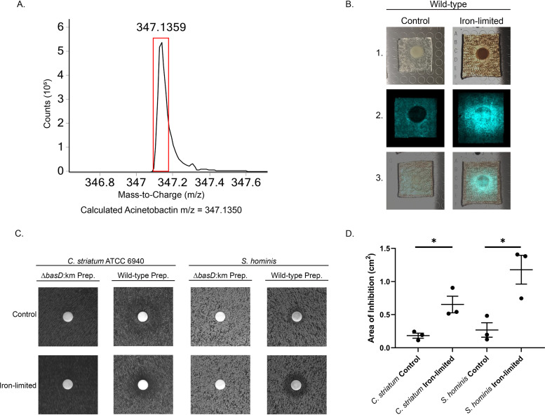 FIG 3