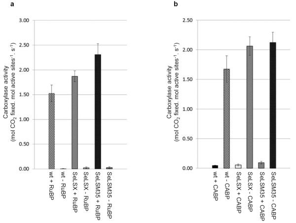 Extended Data Figure 3