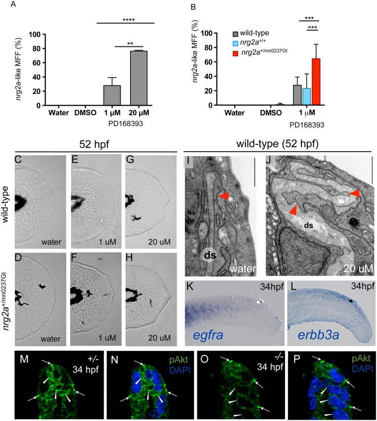 Fig 9