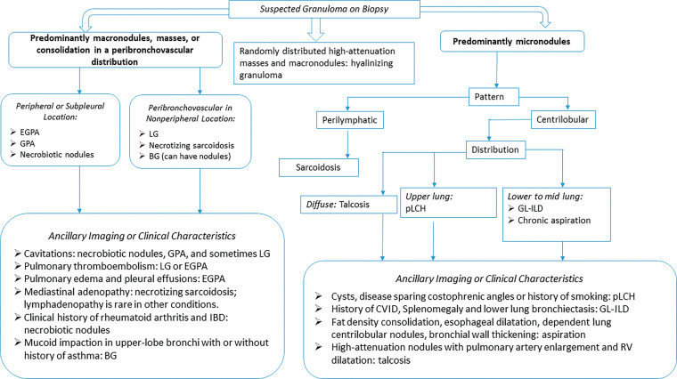 Flowchart categorization of various granulomatous diseases by imaging manifestations. BG = bronchocentric granulomatosis, CVID = common variable immunodeficiency, EGPA = eosinophilic granulomatosis with polyangiitis, GL-ILD = granulomatous and lymphocytic interstitial lung disease, GPA = granulomatosis with polyangiitis, IBD = inflammatory bowel disease, LG = lymphomatoid granulomatosis, pLCH = pulmonary Langerhans cell histiocytosis, RV = right ventricle.