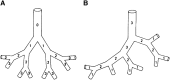 Figure 9.
