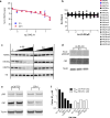 Extended Data Figure 5