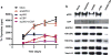 Extended Data Figure 6