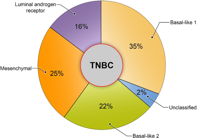 Lehmann subtype classification of TNBC (2016 version), with the proportions of TNBC tumors in each of the four subgroups cited (22).