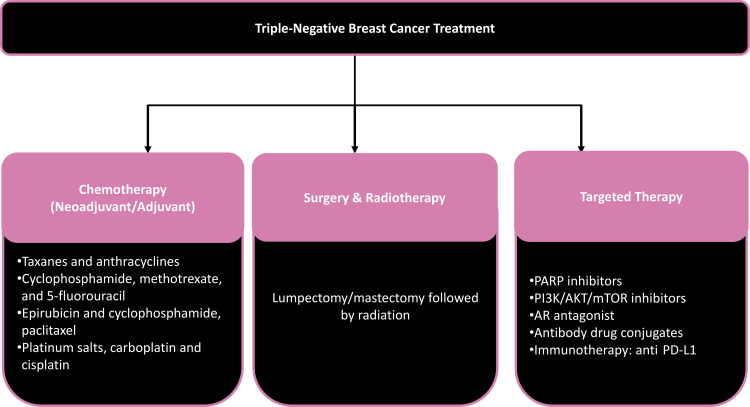 Options for treatment of TNBCs. AR = androgen receptor, PARP = poly (ADP-ribose), PI3K/AKT/mTOR = phosphoinositide 3–kinase/protein kinase B/mammalian target of rapamycin.