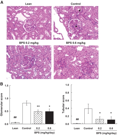 FIG. 8.