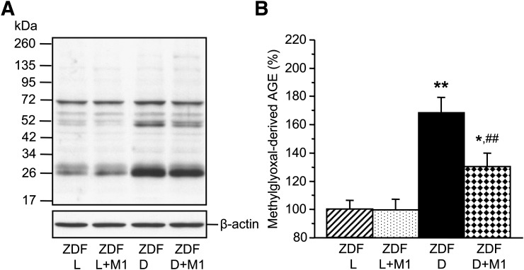 FIG. 5.