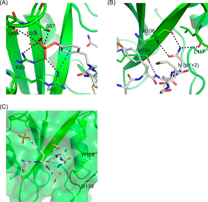 FIGURE 3.