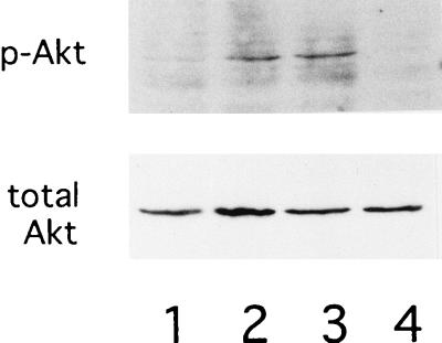 FIG. 8