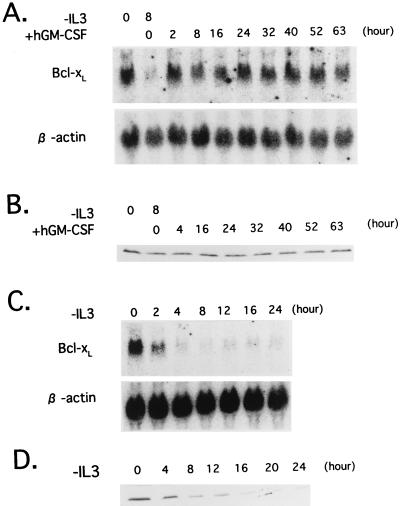 FIG. 9