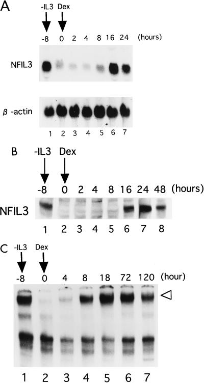 FIG. 3