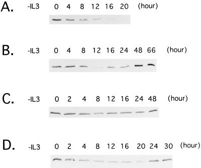 FIG. 7