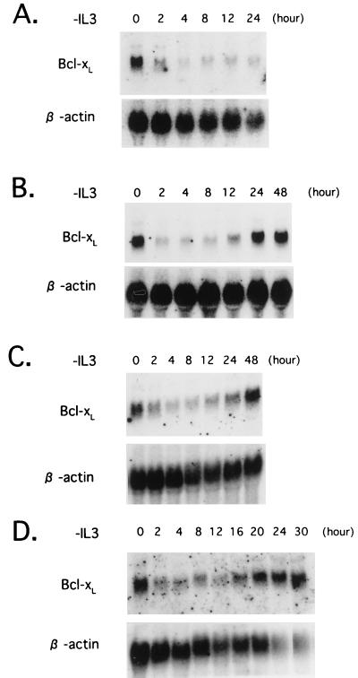 FIG. 6