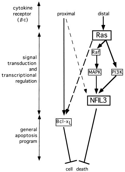 FIG. 10