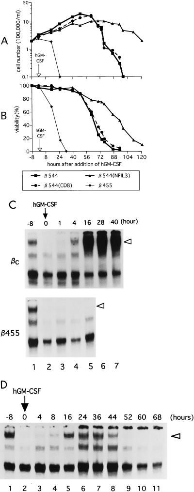 FIG. 5