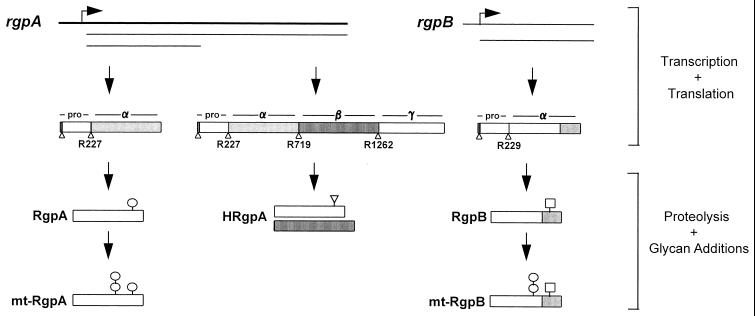 FIG. 8