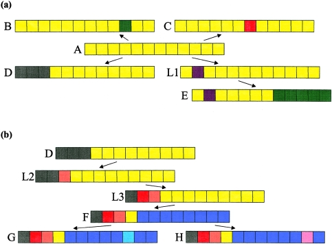 Figure  1