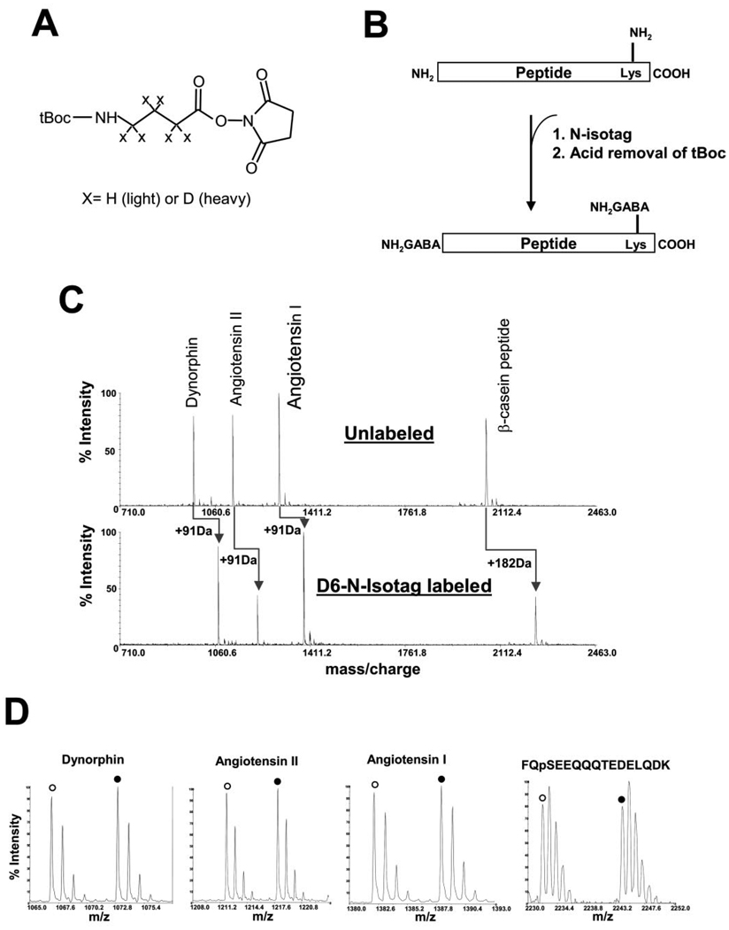 FIG. 1