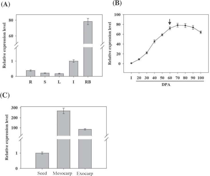 Fig. 3. 