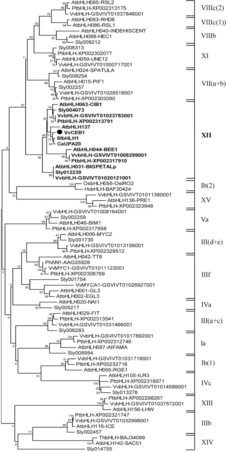 Fig. 1. 