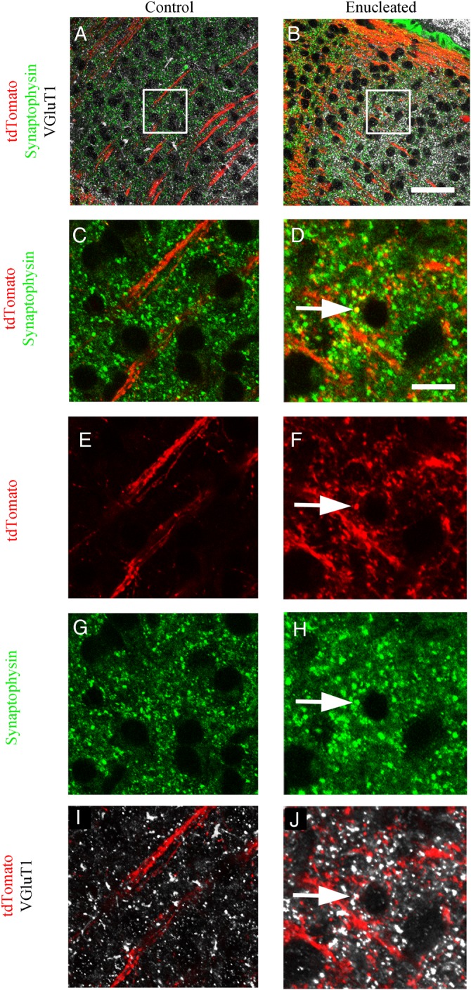 Figure 6.