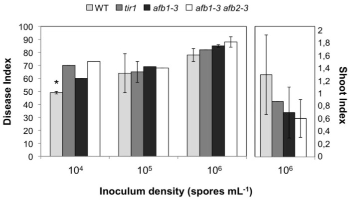 Figure 4