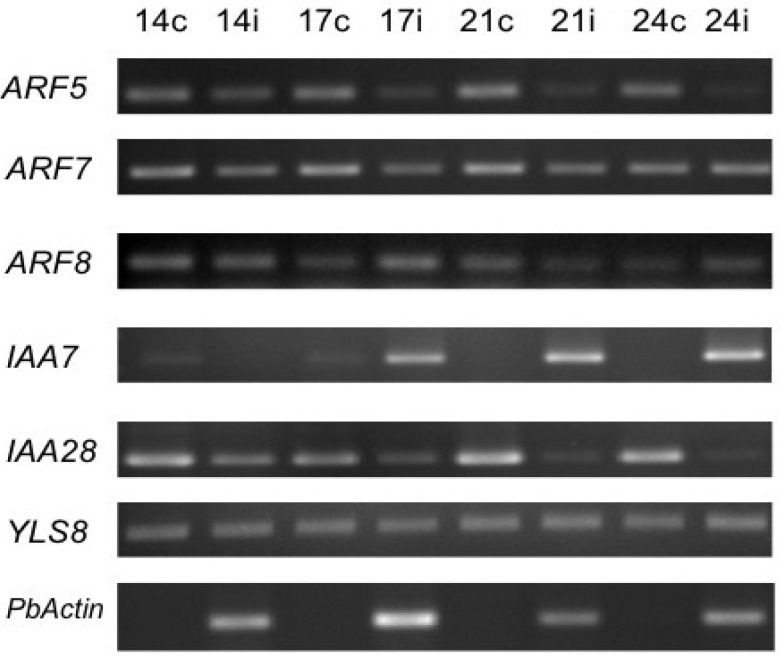 Figure 5