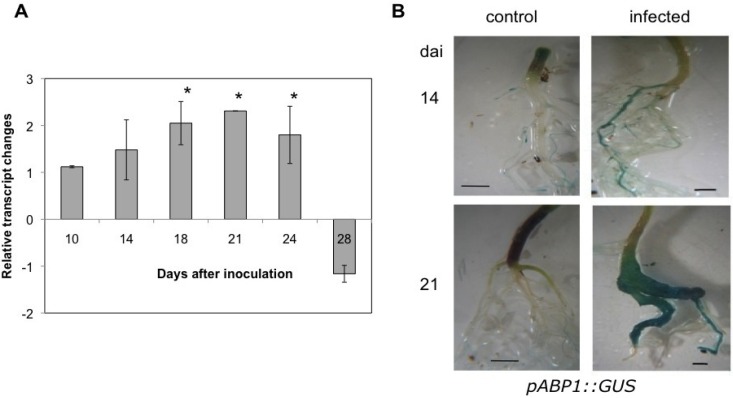 Figure 10