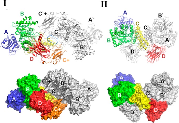 FIGURE 4.